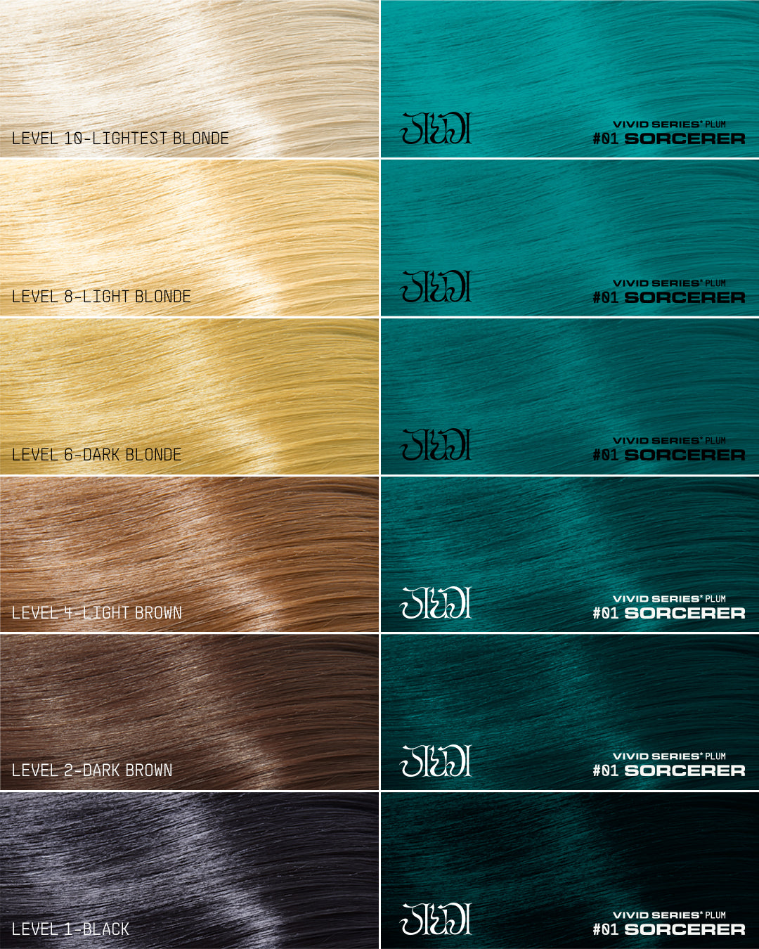 VIVID SERIES* Collection Set