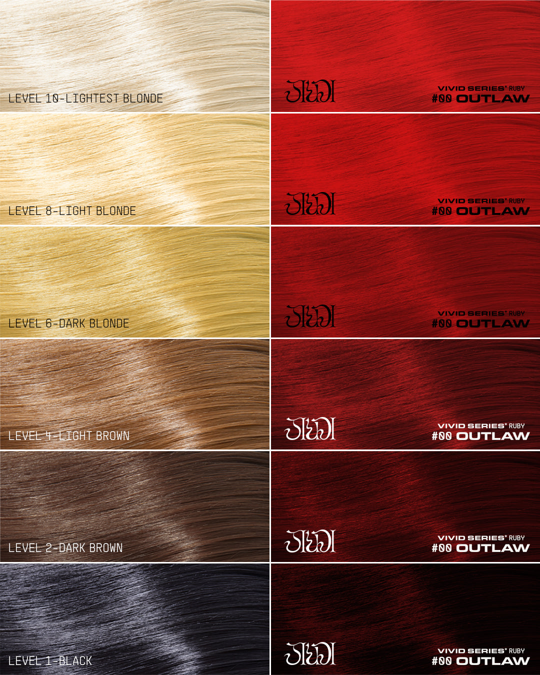 VIVID SERIES* Collection Set
