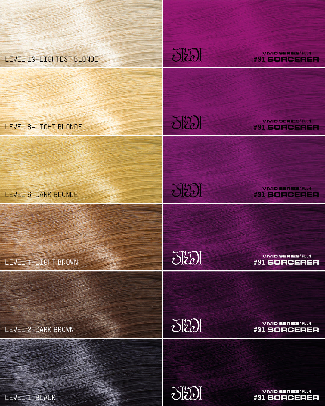 VIVID SERIES* Collection Set